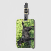 LR zwart lab vol Bagagelabel (Voorkant (verticaal))