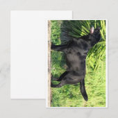 LR zwart lab vol Bedankkaart (Voorkant / Achterkant)