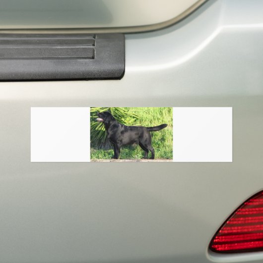 LR zwart lab vol Bumpersticker (Op auto)