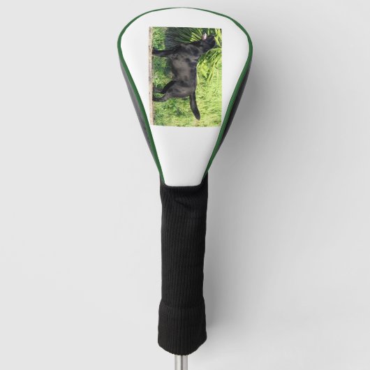 LR zwart lab vol Golfheadcover (Voorkant)