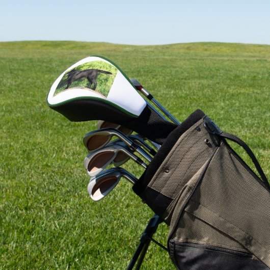 LR zwart lab vol Golfheadcover (Insitu)