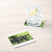 LR zwart lab vol Kartonnen Onderzetters (Insitu)