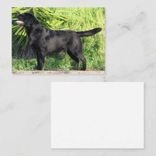 LR zwart lab vol Notitiekaartje (Voorkant / Achterkant)