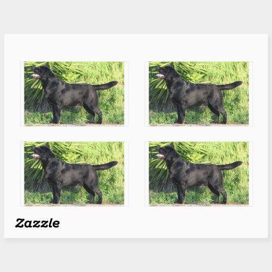 LR zwart lab vol Rechthoekige Sticker (Vel)