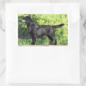 LR zwart lab vol Rechthoekige Sticker (Tas)