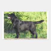 LR zwart lab vol Rechthoekige Sticker (Voorkant)