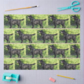 LR zwart lab vol Tissuepapier (Craft)