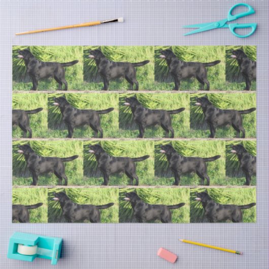 LR zwart lab vol Tissuepapier (Craft)