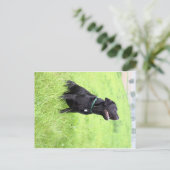 LR zwarte labvergadering Briefkaart (Staand voorkant)