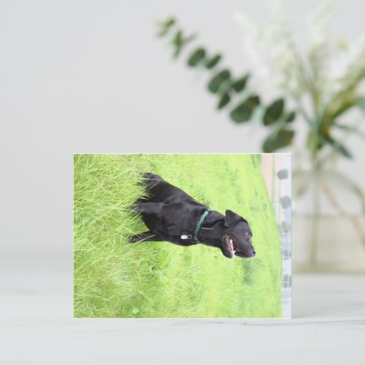 LR zwarte labvergadering Briefkaart (Staand voorkant)