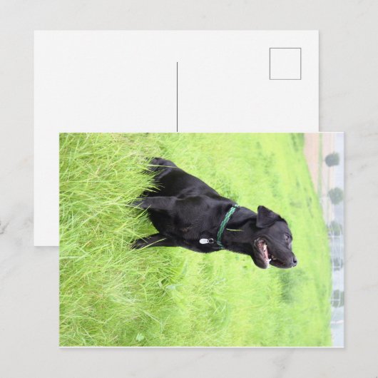 LR zwarte labvergadering Briefkaart (Voorkant / Achterkant)