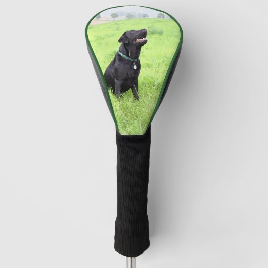 LR zwarte labvergadering Golfheadcover (Voorkant)