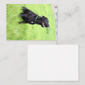 LR zwarte labvergadering Notitiekaartje (Voorkant / Achterkant)