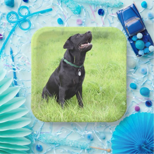 LR zwarte labvergadering Papieren Bordje (Feest)