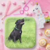 LR zwarte labvergadering Papieren Bordje (Feest)