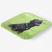 LR zwarte labvergadering Papieren Bordje (Gebogen)