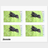 LR zwarte labvergadering Rechthoekige Sticker (Vel)