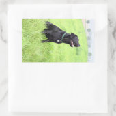 LR zwarte labvergadering Rechthoekige Sticker (Tas)