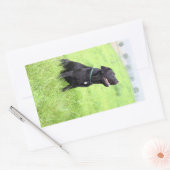 LR zwarte labvergadering Rechthoekige Sticker (Envelop)