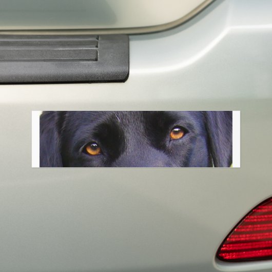 LR zwarte ogen Bumpersticker (Op auto)