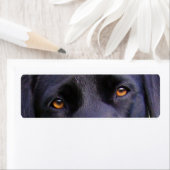 LR zwarte ogen Etiket (Insitu)