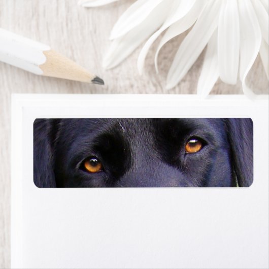 LR zwarte ogen Etiket (Insitu)