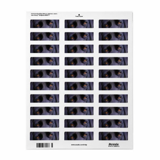 LR zwarte ogen Etiket (Full Sheet)