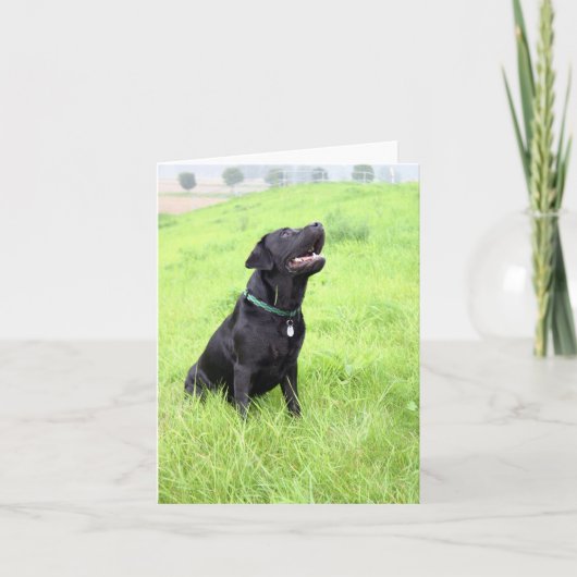 LR zwarte zittende Kaart (Voorkant)