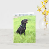 LR zwarte zittende Kaart (Gele Bloem)