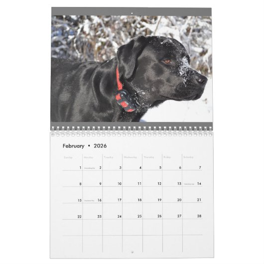 LRF Kalender 2024 (Feb 2026)