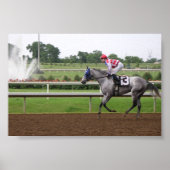 LSP-reeks (2) Poster (Voorkant)