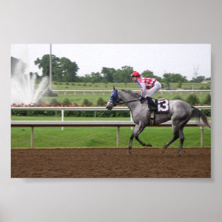 LSP-reeks (2) Poster