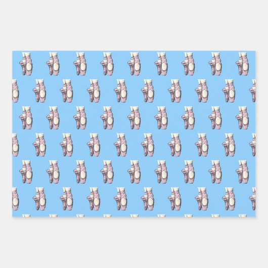 Lt roze Ballerina Shoes En Pointe FL DIY BG Inpakpapier Vel (Voorkant)