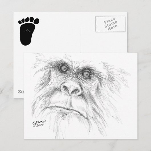 LTB Postcards Briefkaart (Voorkant / Achterkant)