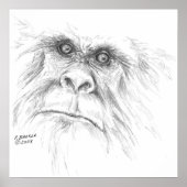 LTB-Poster Poster (Voorkant)