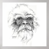 LTB-Poster Poster (Voorkant)