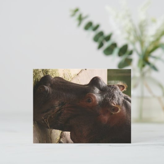 Lu Briefkaart (Staand voorkant)