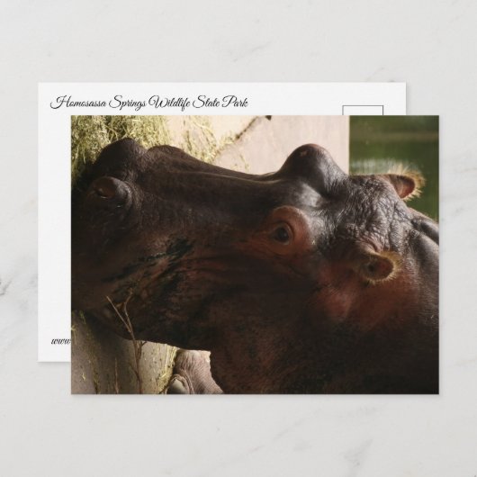 Lu Briefkaart (Voorkant / Achterkant)