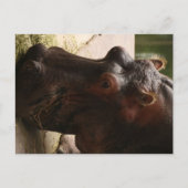 Lu Briefkaart (Voorkant)