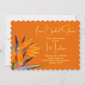 Luau Vrijgezellenfeest Sinaasappel Paradijsvogel D Kaart (Voorkant)