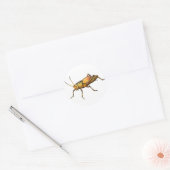 Lubber Grasshopper Sticker (Envelop)