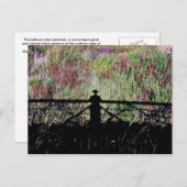 Lubbock Lake Landmark Briefkaart (Voorkant / Achterkant)