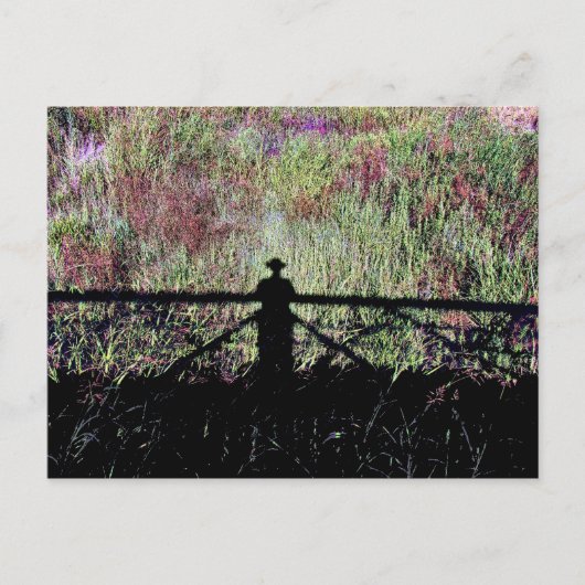 Lubbock Lake Landmark Briefkaart (Voorkant)