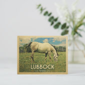 Lubbock Texas Briefkaart Horse Boerderij - Vintage (Staand voorkant)