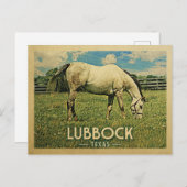 Lubbock Texas Briefkaart Horse Boerderij - Vintage (Voorkant / Achterkant)