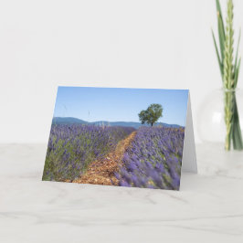 Luberon Lavendelvelden, Provence, Frankrijk -  Kaart