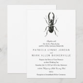 Lucanus Metallicus Kever Kaart (Voorkant / Achterkant)