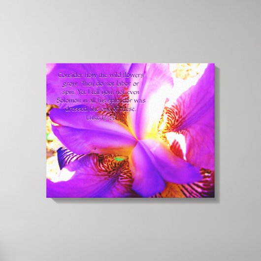Lucas 12:27 op Paarse Iris Canvas Afdruk (Voorkant)