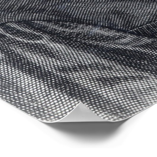 Lucas van Leyden Poster (Hoek)