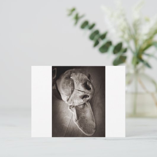 Lucca Briefkaart (Staand voorkant)